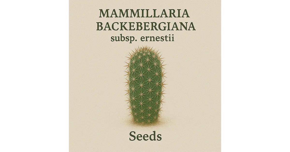 Mammillaria backebergiana subsp. ernestii  Seeds x20