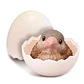 Baby Bird assorted figure 7cm - Thumbnail 5