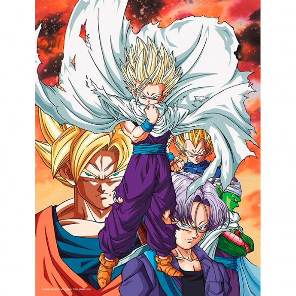 Dragon Ball Z Heroes vs Cell glass poster 1