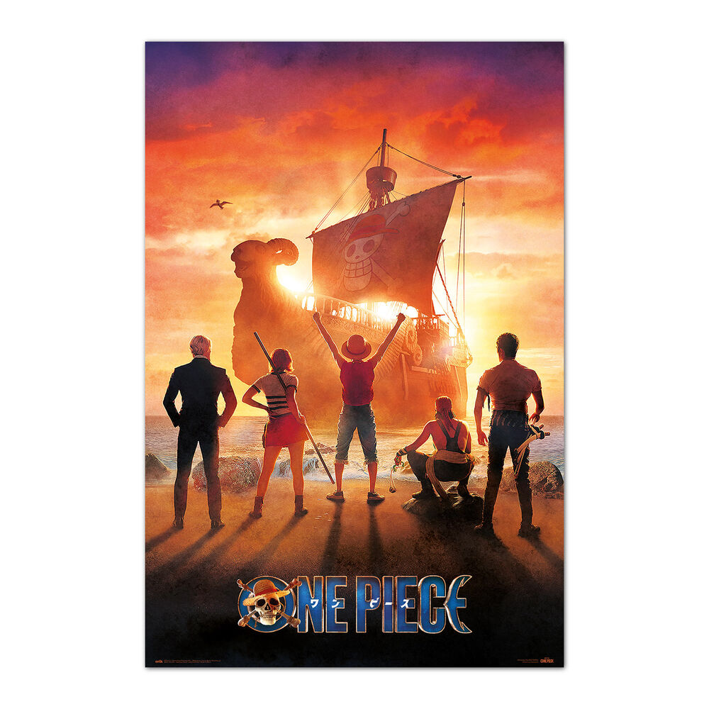 One Piece poster 1