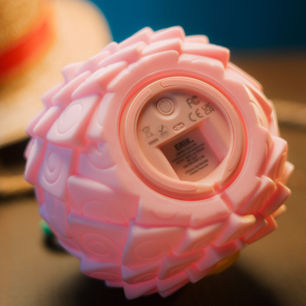 One Piece Flower-Flower Fruit lamp 6