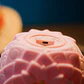 One Piece Flower-Flower Fruit lamp - Thumbnail 7
