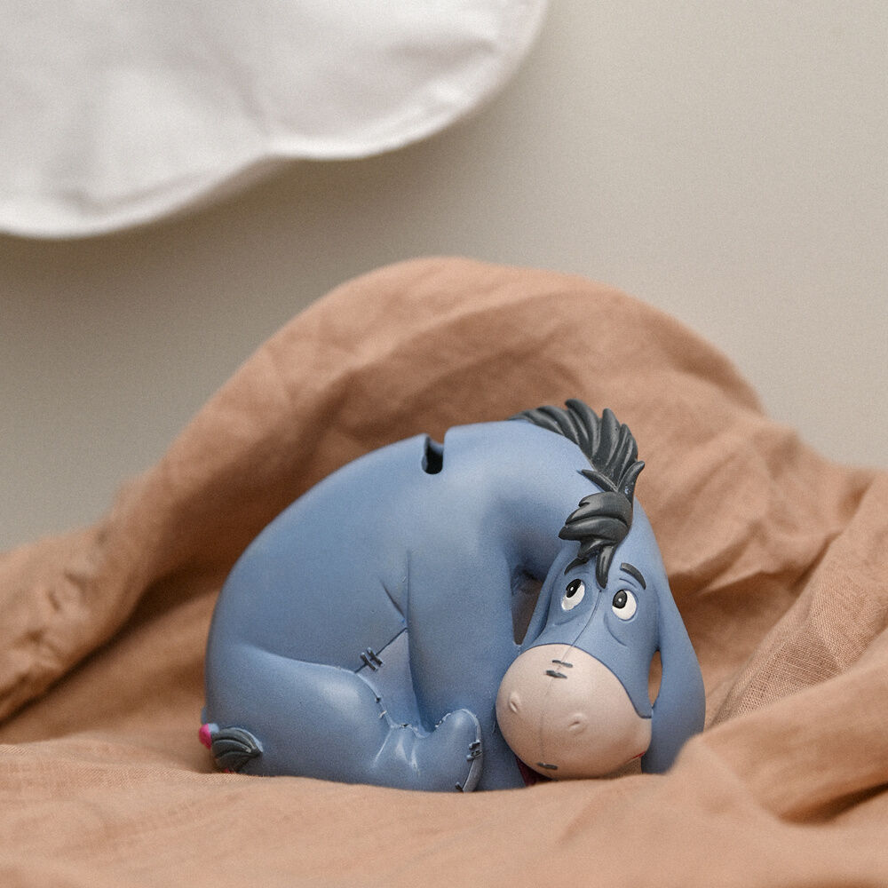 Disney Winnie the Pooh Eeyore money box 5