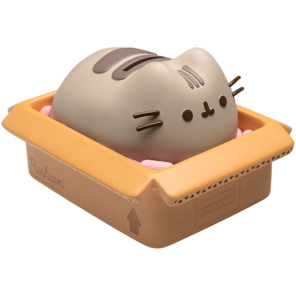 Pusheen money box 1