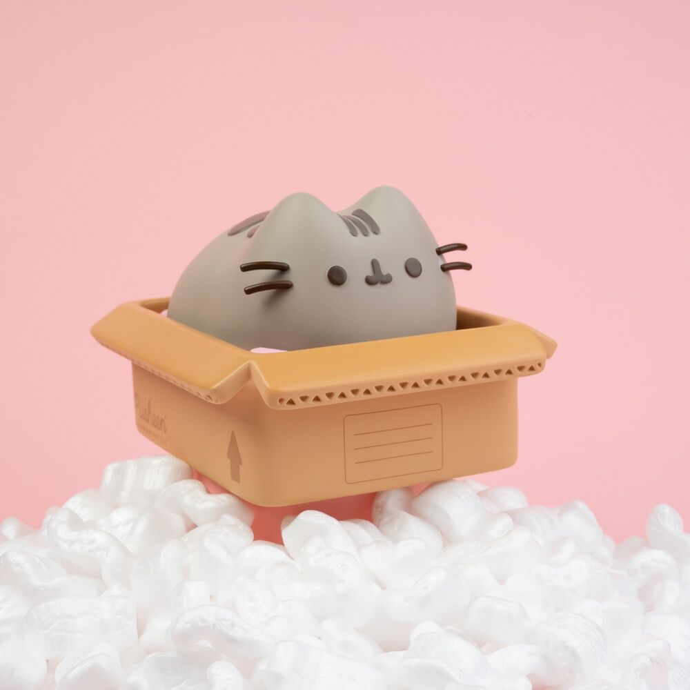 Pusheen money box 3