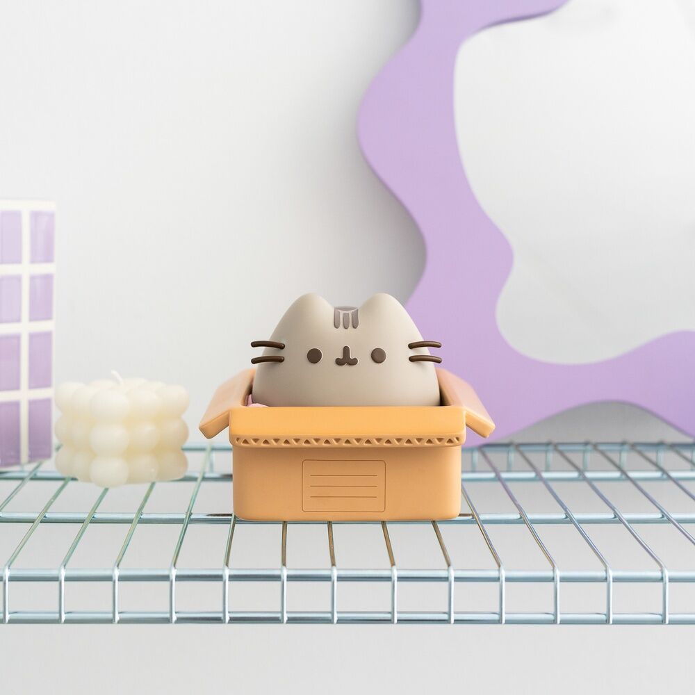 Pusheen money box 4