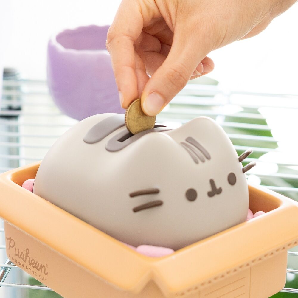 Pusheen money box 5