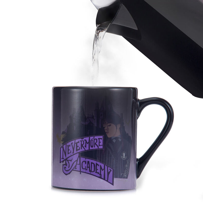 Wednesday assorted mug 6