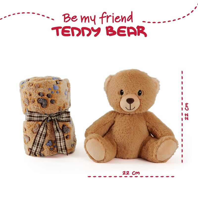 Teddy Bear Soft blanket + plush toy 22cm 2