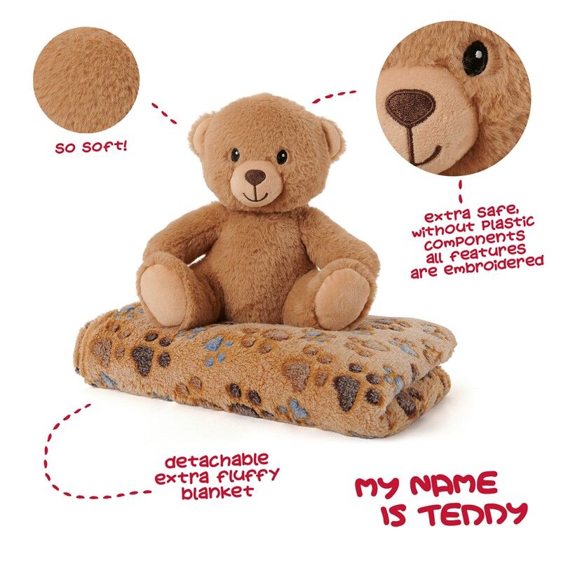 Teddy Bear Soft blanket + plush toy 22cm 3