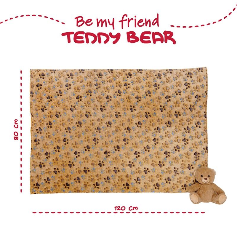 Teddy Bear Soft blanket + plush toy 22cm 4