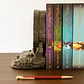 Harry Potter Chamber of Secrets bookends - Thumbnail 4