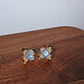 Calanthe - Thumbnail 4