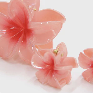 SET CLIP FLOR