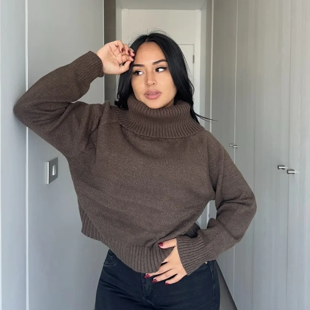 SWEATER TURTLE 2