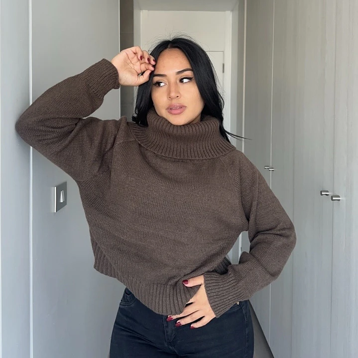 SWEATER TURTLE 2