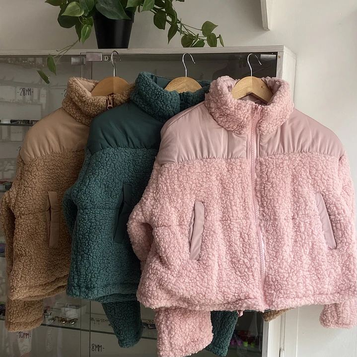 TEDDY  2