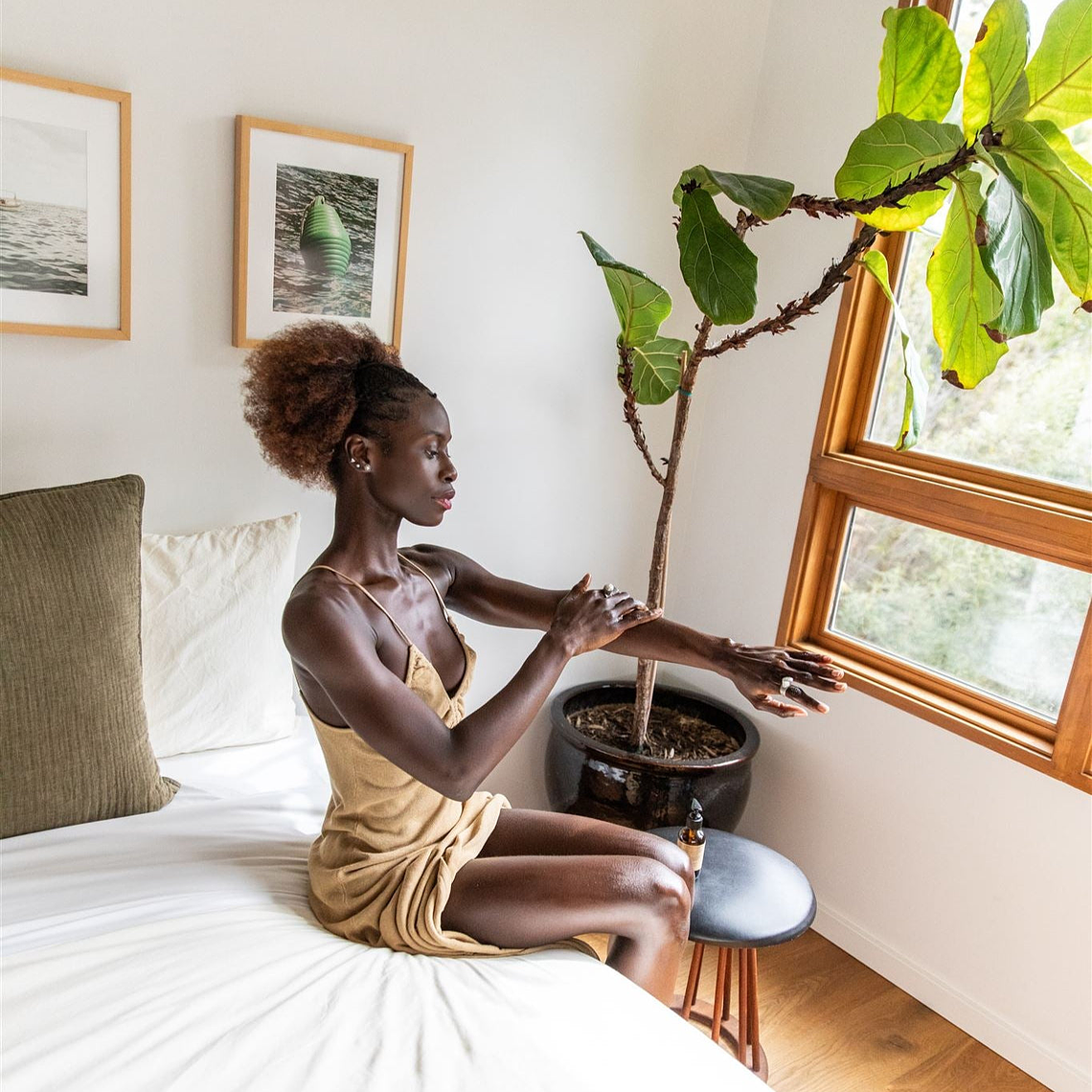 Tridoshic Body Oil | Balancing Ayurvedic Abhyanga Oil for All Skin Types & Doshas 5