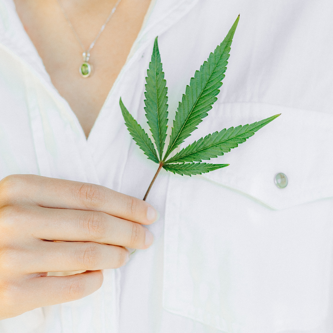 PRO - ORGANIC HEMP TREASURE ELIXIR - Vegetable Oil Serum, Food Supplements 10