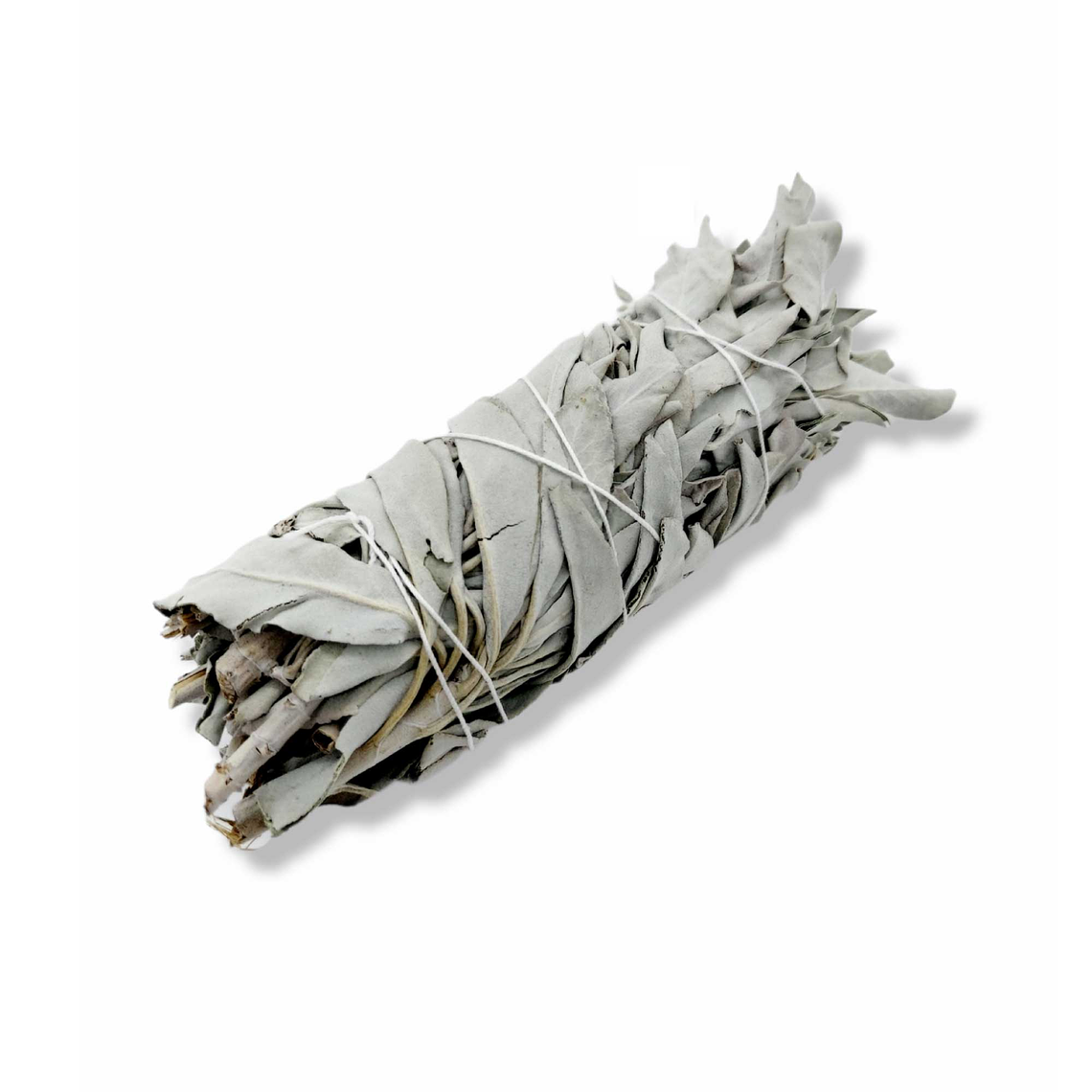 6x Californian White Sage Smudge Sticks Medium 13-15cm Incense Cleansing Bundle 1