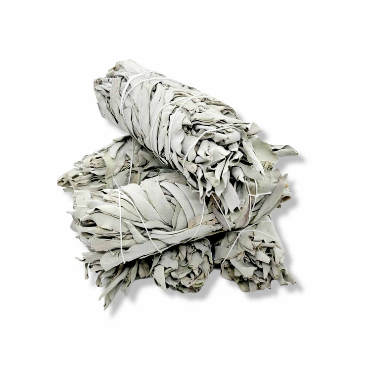 6x Californian White Sage Smudge Sticks Medium 13-15cm Incense Cleansing Bundle 2