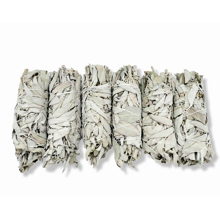 6x Californian White Sage Smudge Sticks Medium 13-15cm Incense Cleansing Bundle 4