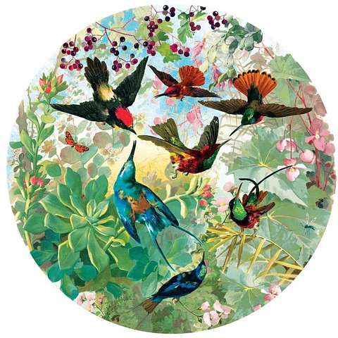 Puzzle redondo Hummingbirds 500 piezas