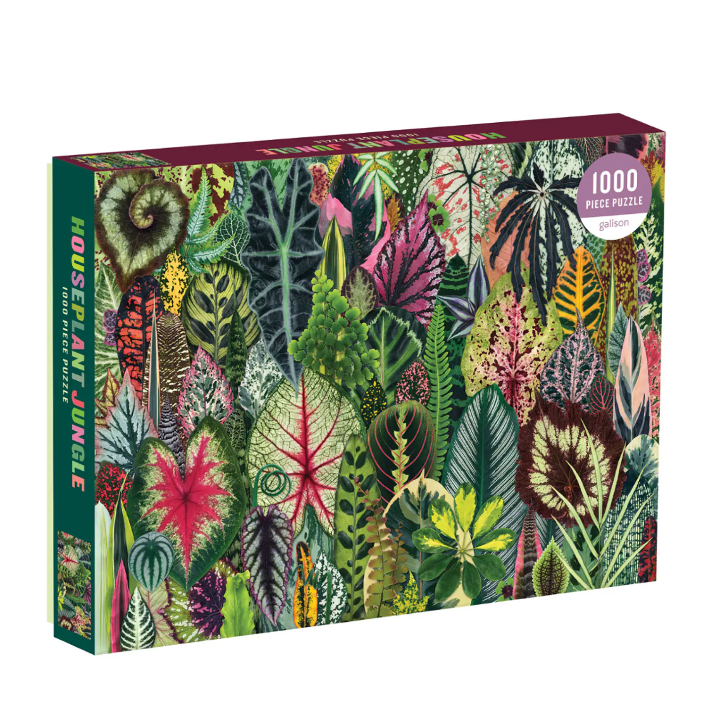 Puzzle Houseplant Jungle 1.000 piezas 1