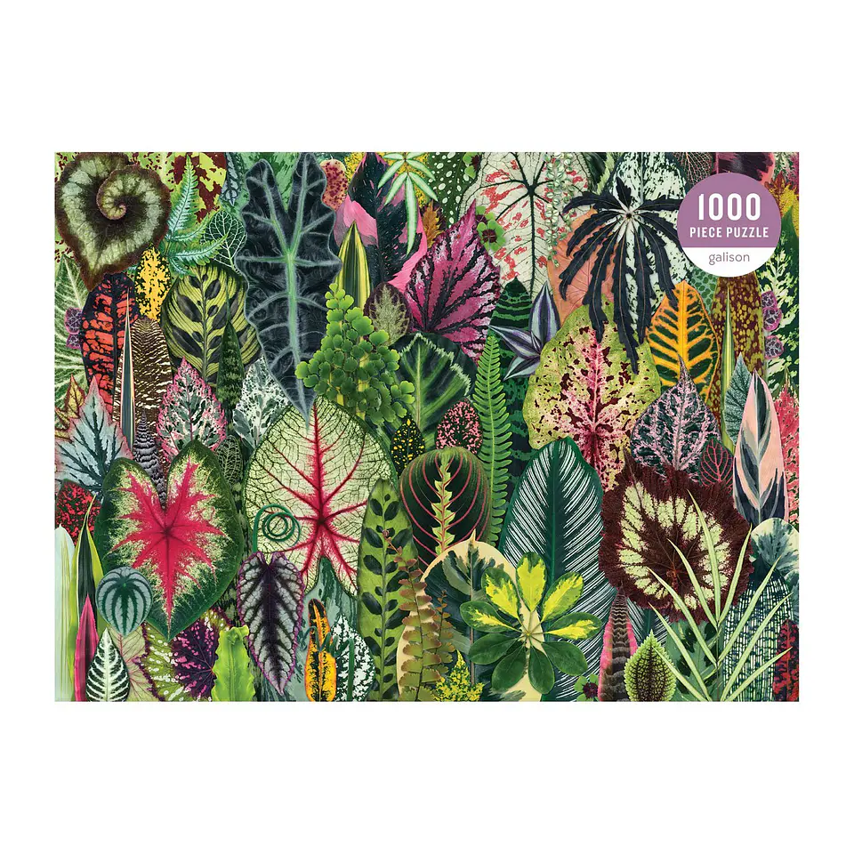 Puzzle Houseplant Jungle 1.000 piezas 2