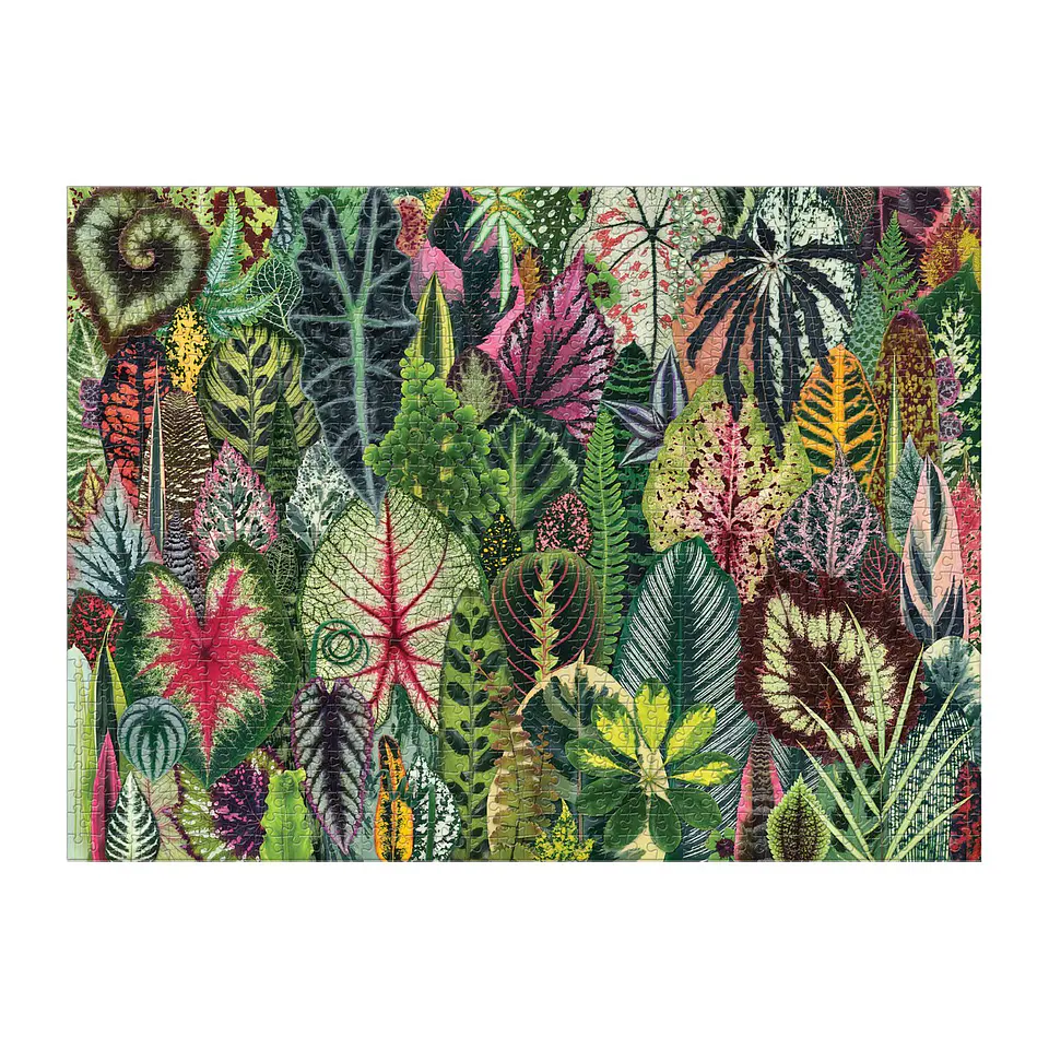 Puzzle Houseplant Jungle 1.000 piezas 3