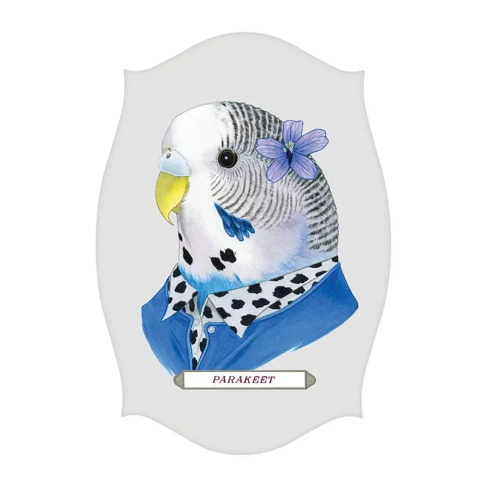 Juego Memory Game 10 pares Animal Portraits 11