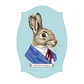 Juego Memory Game 10 pares Animal Portraits - vignette 12