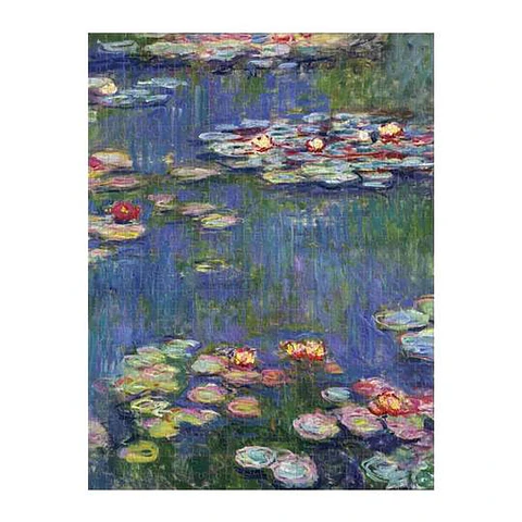 Puzzle reversible Monet 500 piezas (2 en 1)
