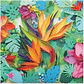 Puzzle Paper Paradise 500 piezas - Miniatura 2