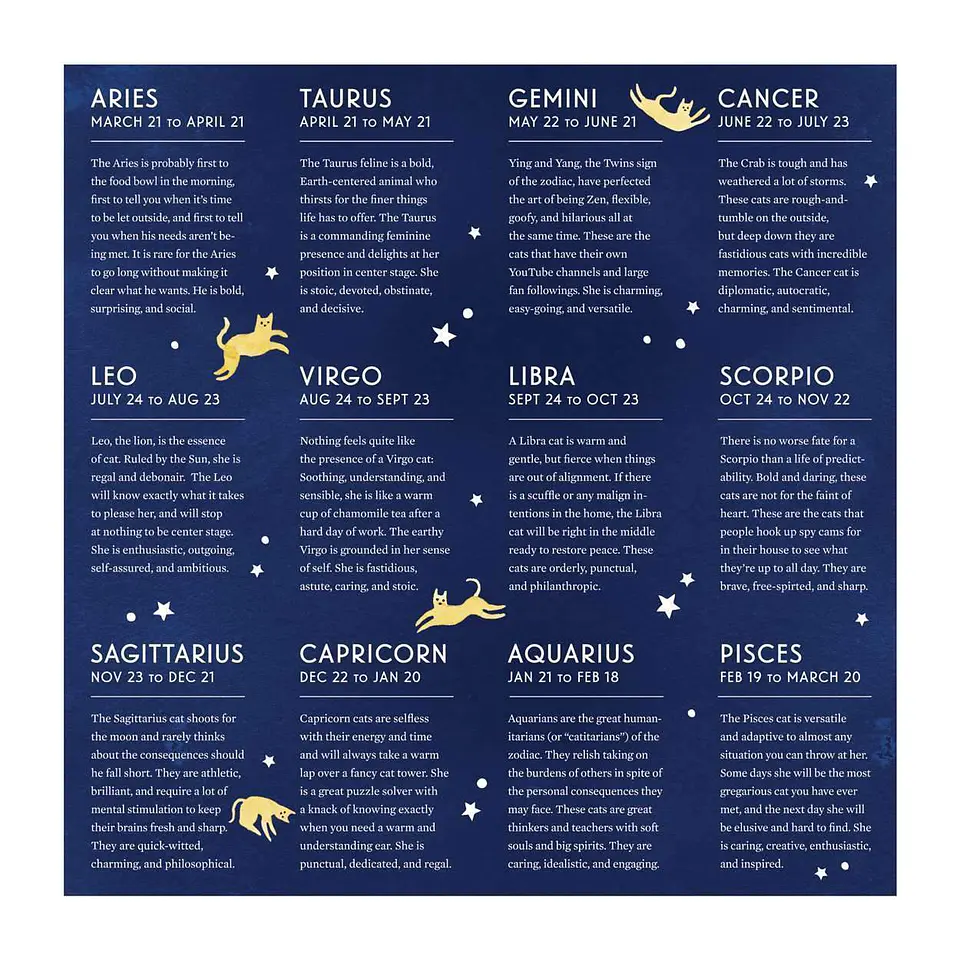 Puzzle Cat Zodiac 500 piezas Galison 4