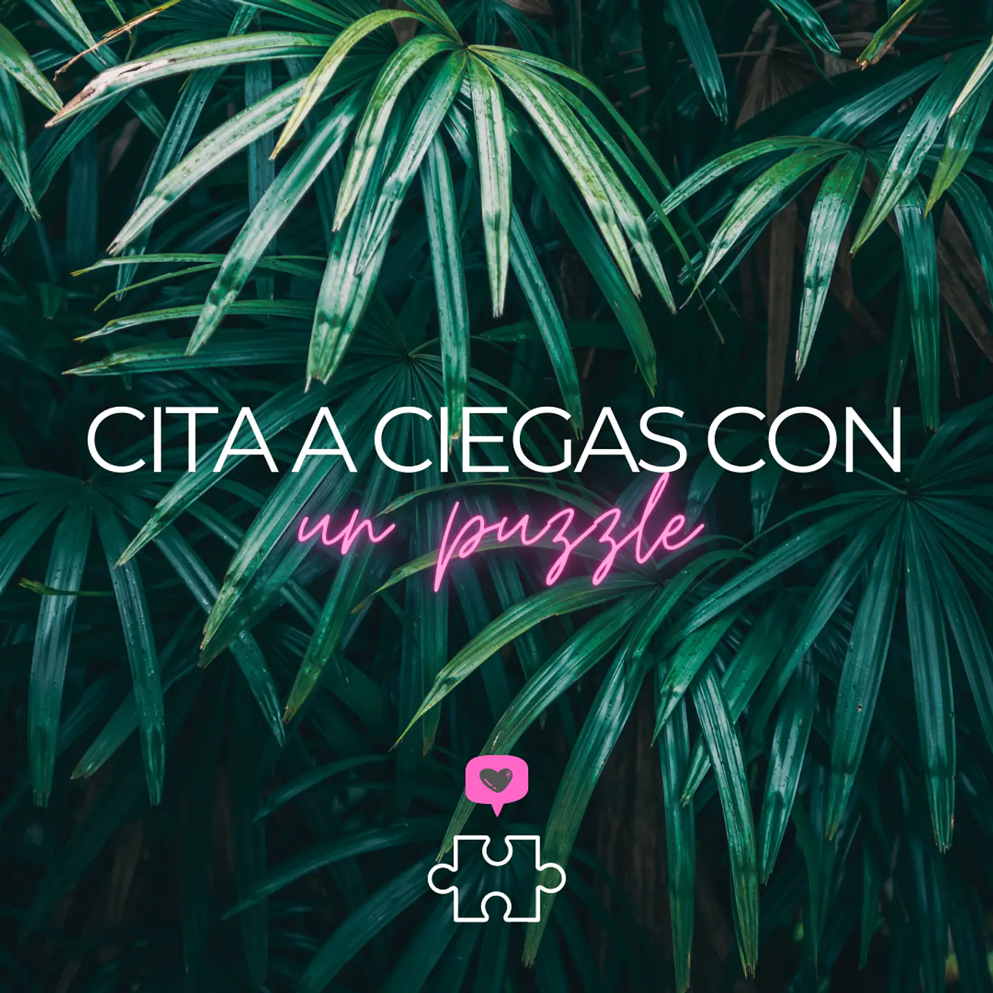 Cita a ciegas con un Puzzle - Puzzle secreto 1.000 piezas 1