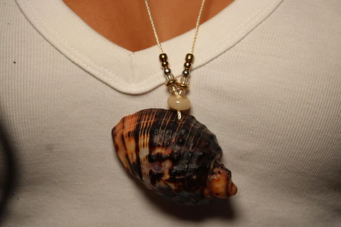 COLLAR AJUSTABLEE CONCHA NEGRA