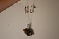 COLLAR AJUSTABLEE CONCHA NEGRA - Miniatura 3
