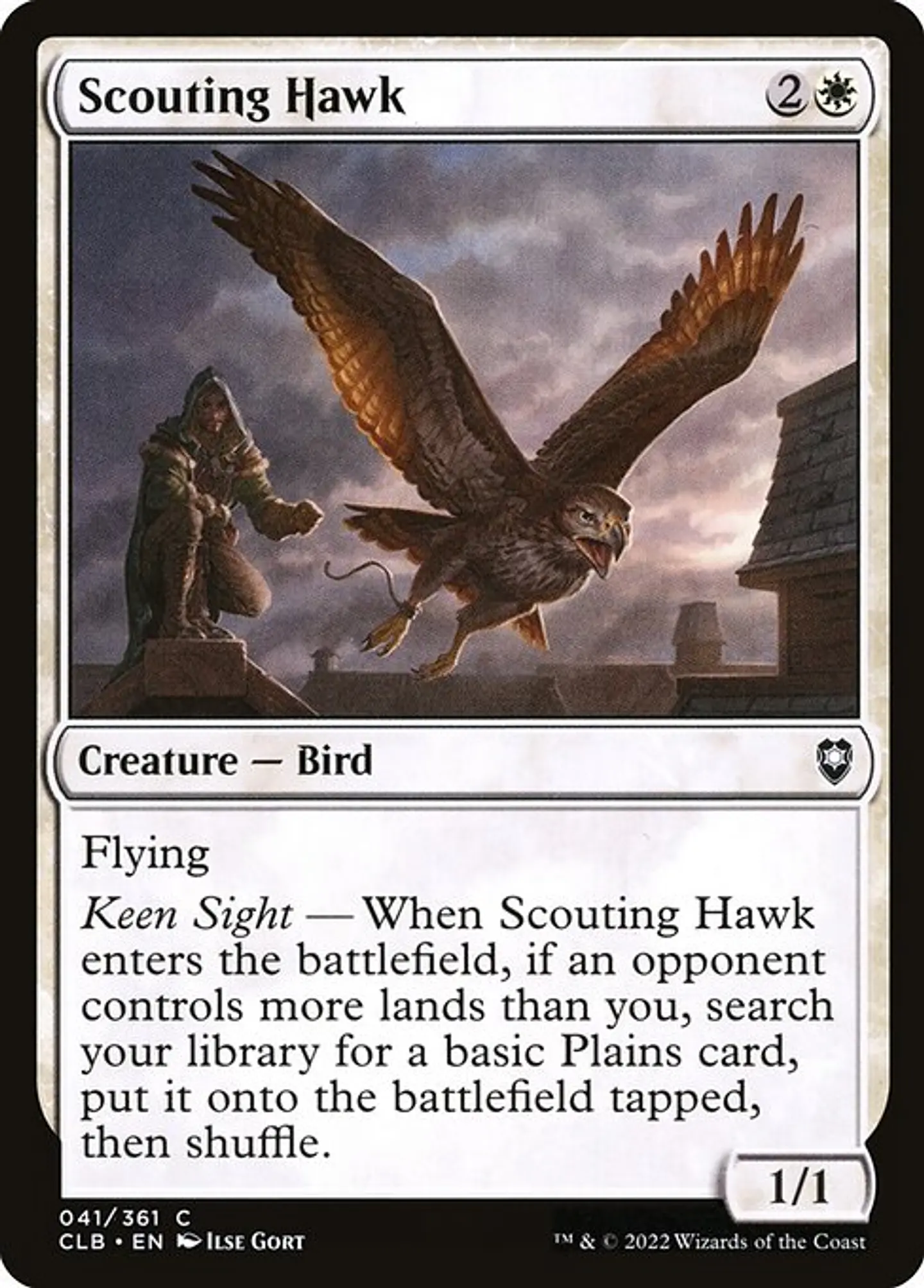 Scouting Hawk 1