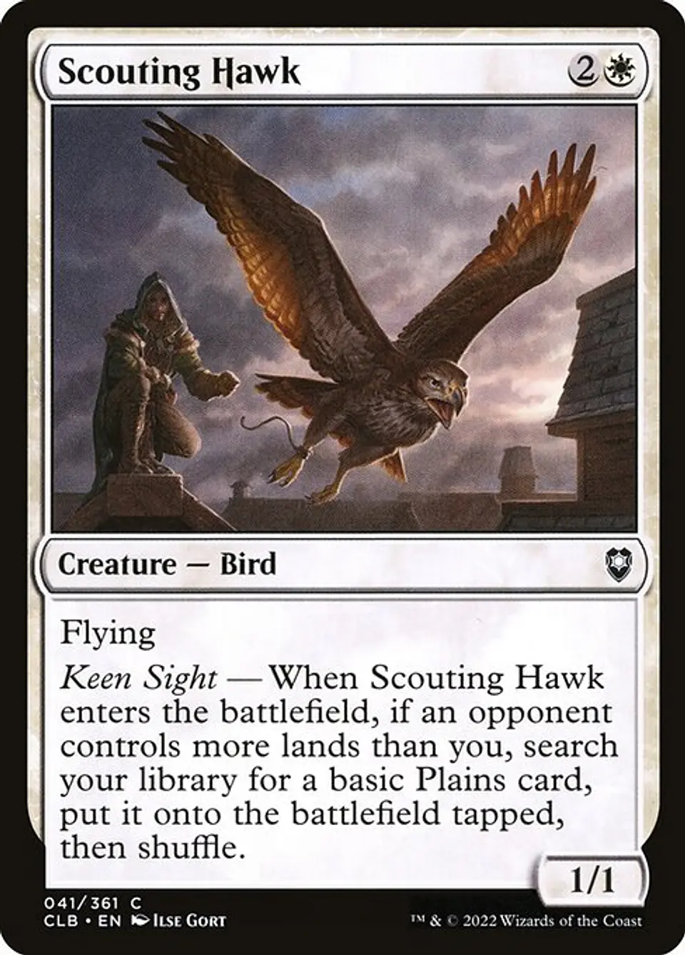 Scouting Hawk 1