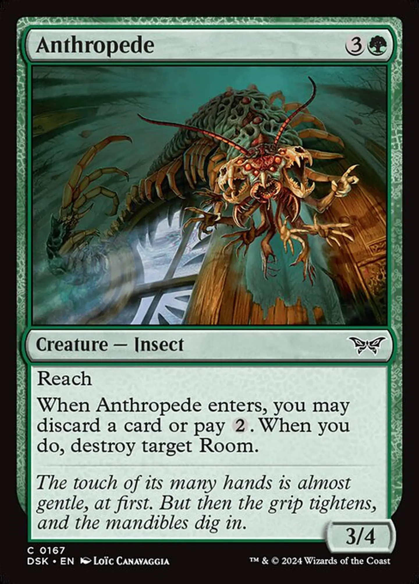 Anthropede 1