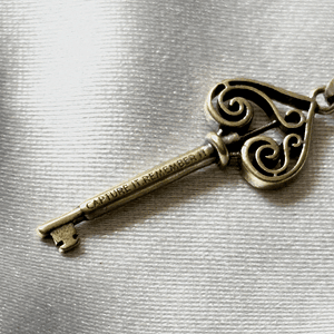 Taylor Swift - Collar “Capture It, Remember It” Fearless