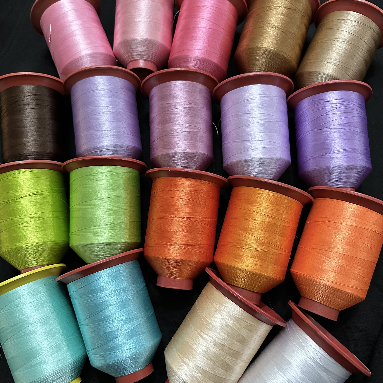 Ariana Grande - Polera Bordada ERAS Ariana (Álbumes) + Pin 3