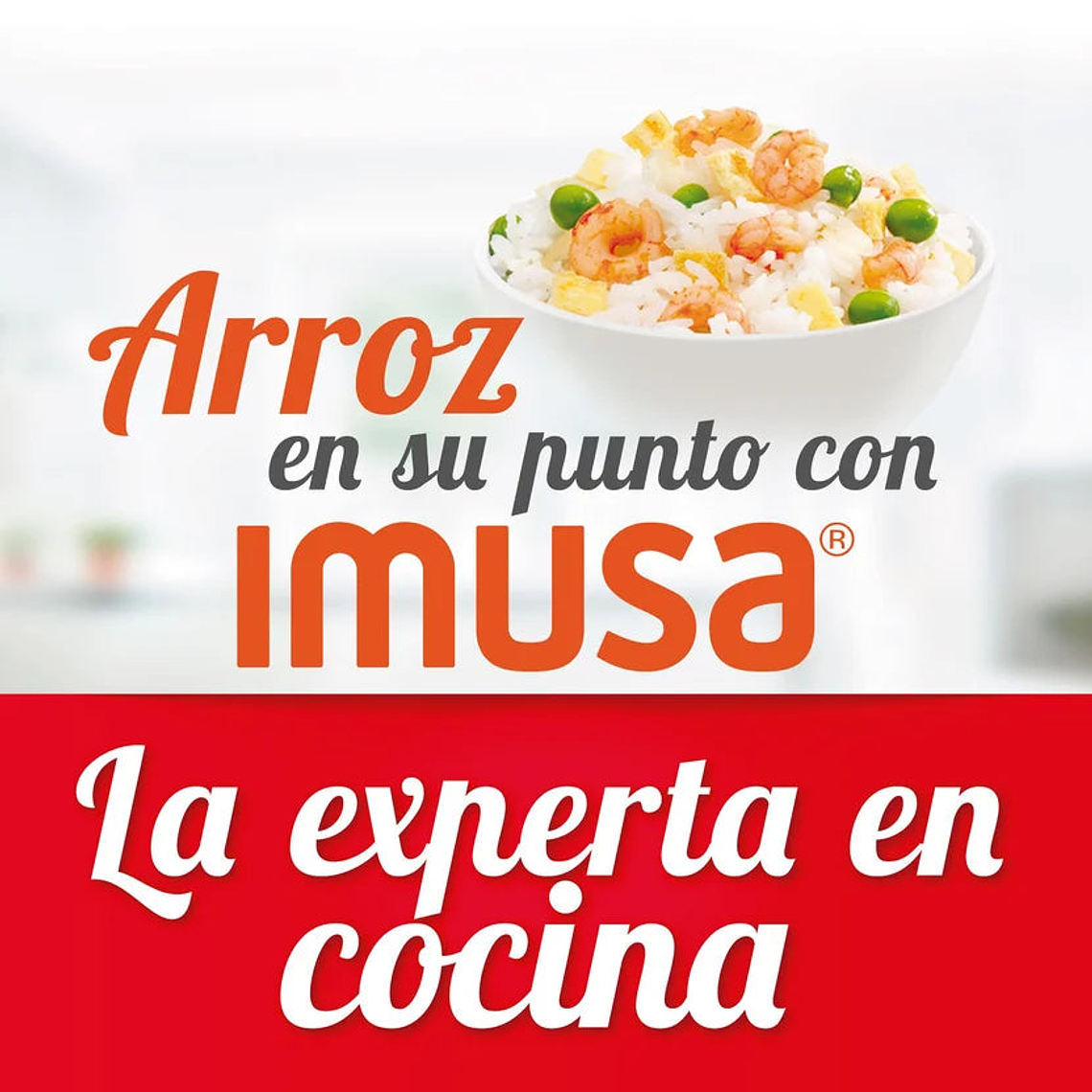 Olla Arrocera Imusa, 5 Tazas, 1L, Acero Inoxidable 2