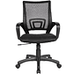 Silla Ejecutiva de Oficina Libertad Baja 98x56x49 Color Negro - Miniatura 1