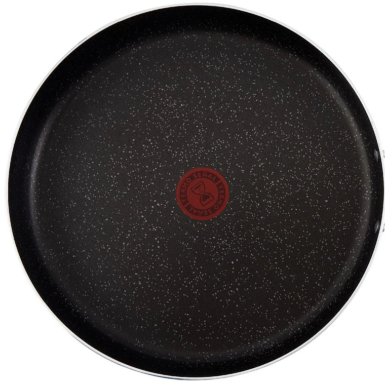 Sartén 24 Cm Antiadhernte Talent Pro 1