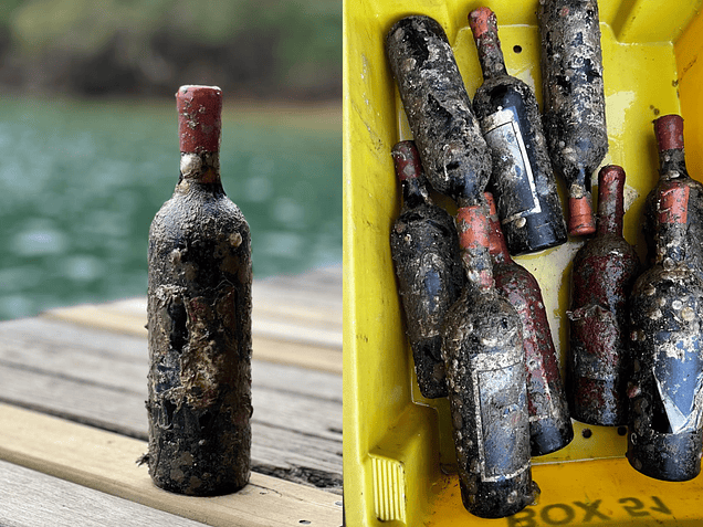 The Winery na ProWine 2025: A Degustação Exclusiva do Vinho Envelhecido pelo Mar