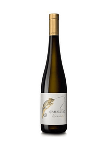 Camaleão Alvarinho 2021 (13,33€ / litro)