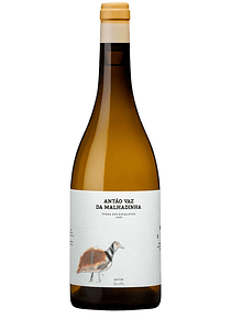 Antão Vaz da Malhadinha Vinha dos Eucaliptos 2020 (21,33€ / litro)