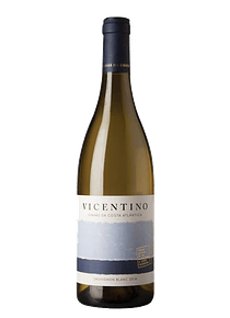Vicentino Sauvignon Blanc Reserva 2019